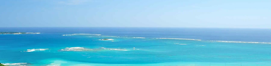 gif�A�j���o�i�[